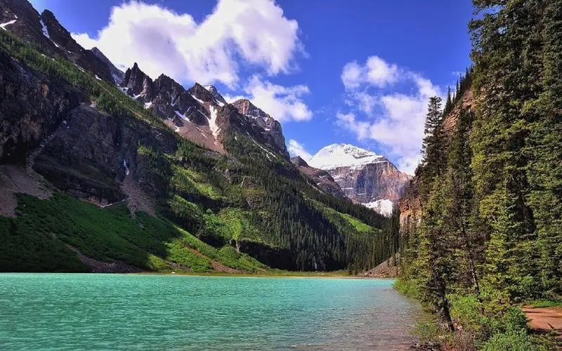 智能化无人化高精度